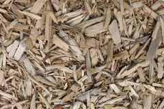 biomass boilers Aberthin
